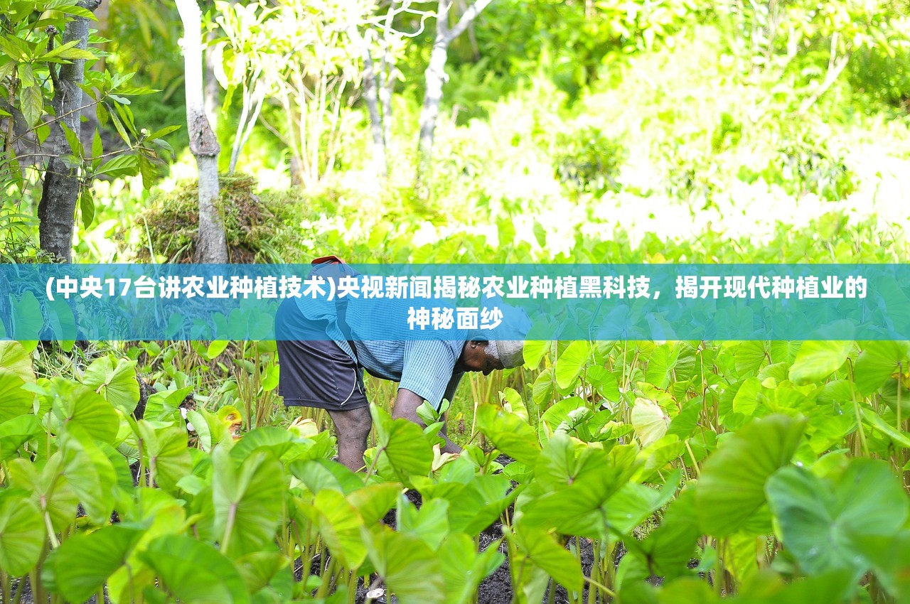 (诗歌逃离人间,飞向遥远的未来之门歌谱)诗歌逃离人间,飞向遥远的未来之门 (诗歌逃离人间,飞向遥远的未来之门歌谱)诗歌逃离人间,飞向遥远的未来之门