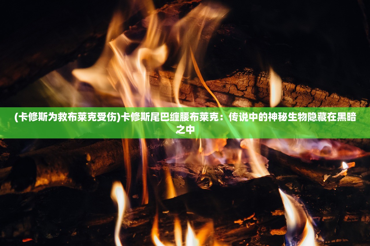(喵呜记账簿)咪呜记账簿游戏，探索记账与娱乐的完美结合