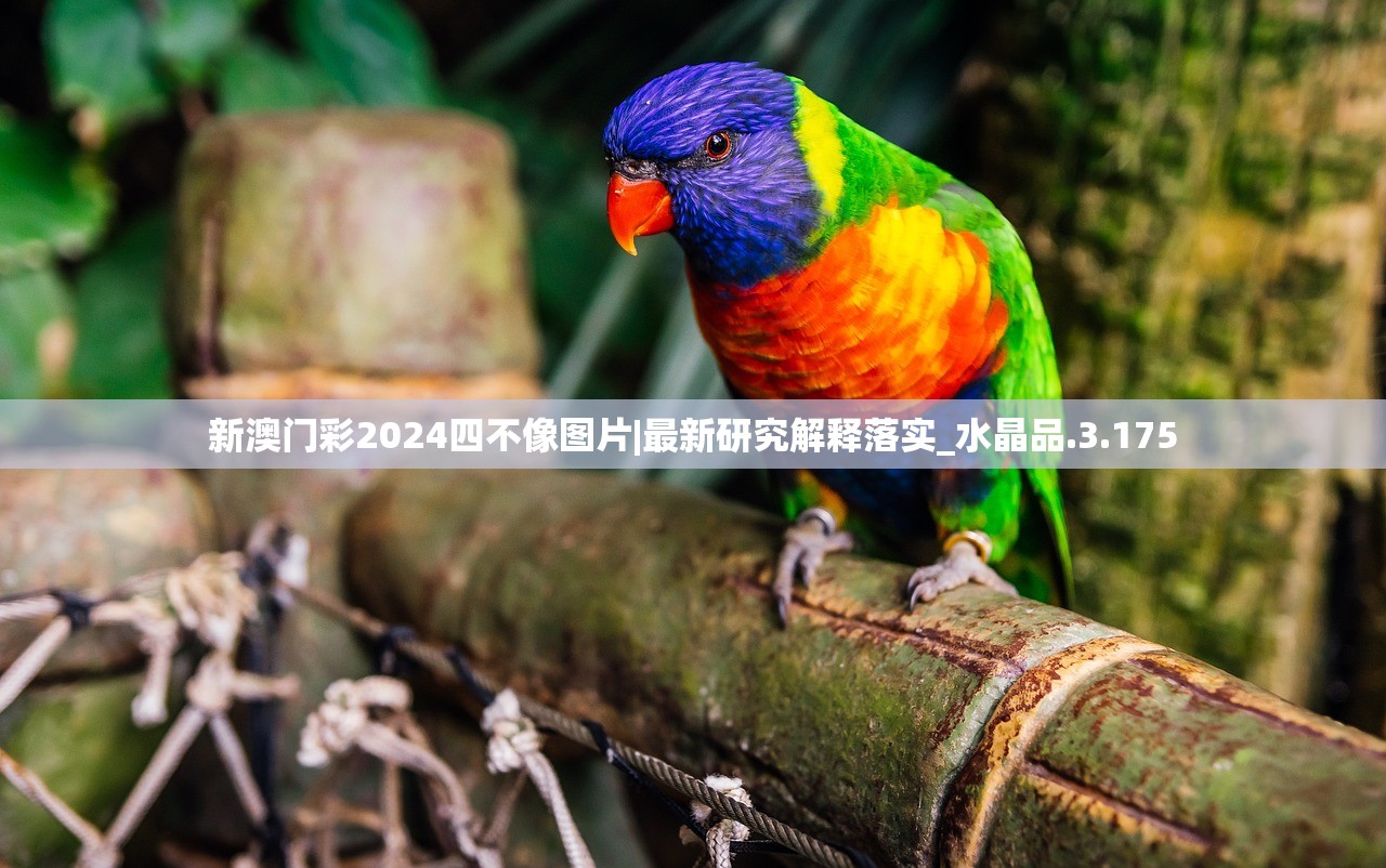 (三国人生模拟折相思内置菜单最新版本)三国人生模拟折相思,内置菜单的魅力与探索 (三国人生模拟折相思内置菜单最新版本)三国人生模拟折相思,内置菜单的魅力与探索