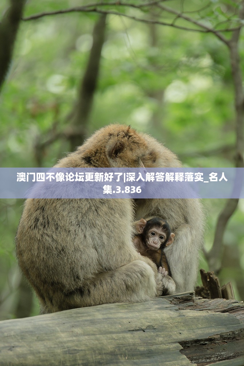 (探秘空想森林主角真名,揭开神秘面纱是第几集)探秘空想森林主角真名，揭开神秘面纱