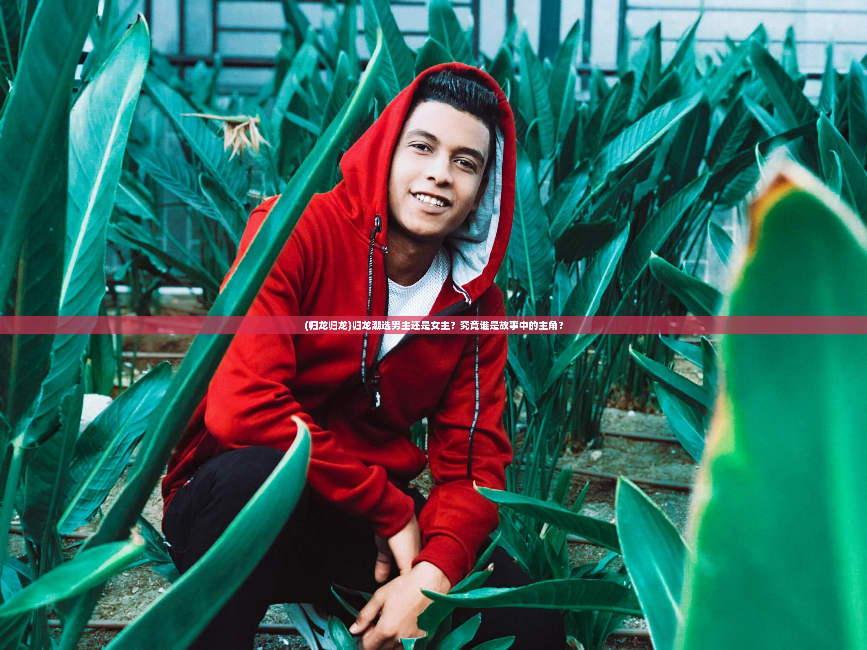 (归龙归龙)归龙潮选男主还是女主？究竟谁是故事中的主角？