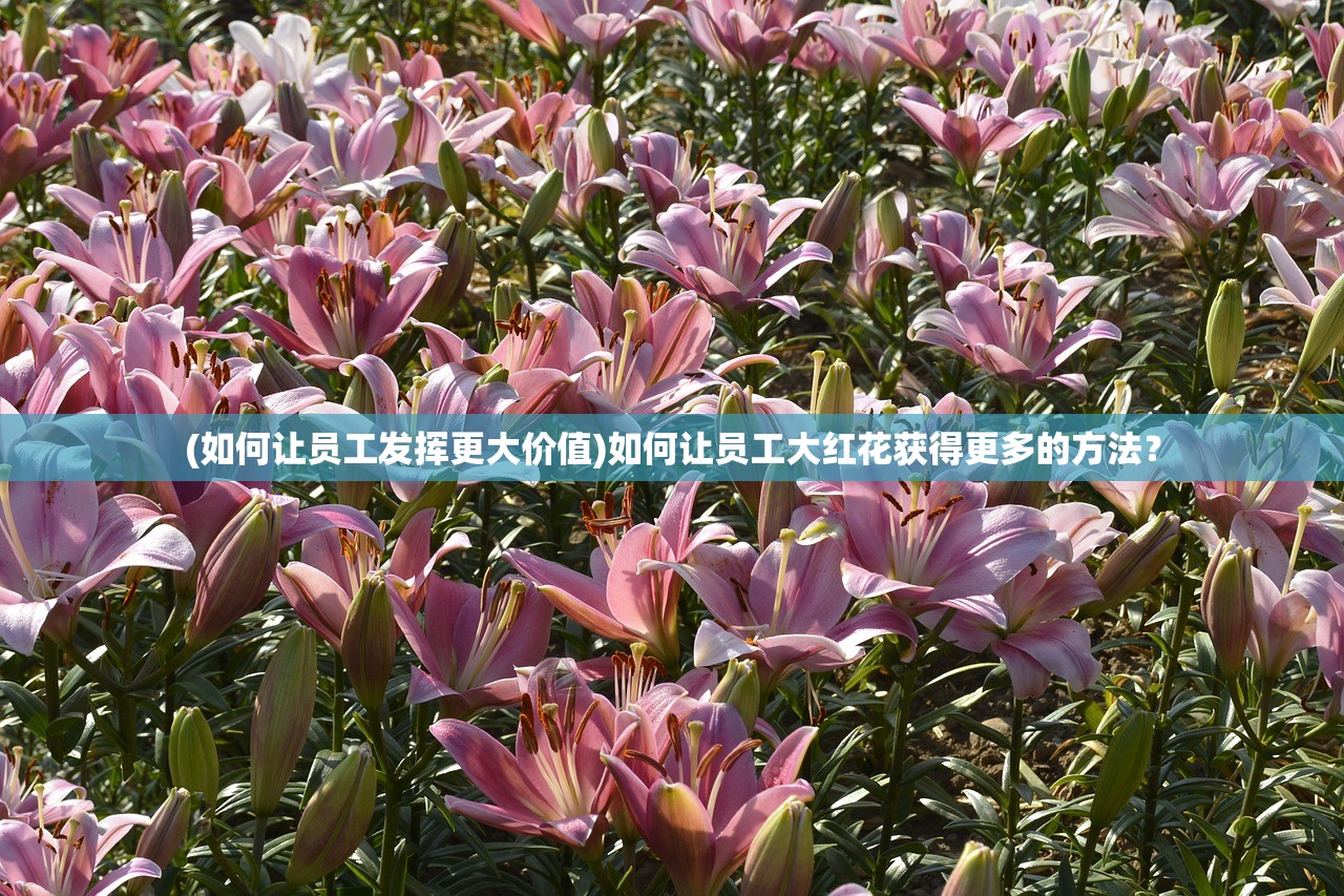 (如何让员工发挥更大价值)如何让员工大红花获得更多的方法? (如何让员工发挥更大价值)如何让员工大红花获得更多的方法?