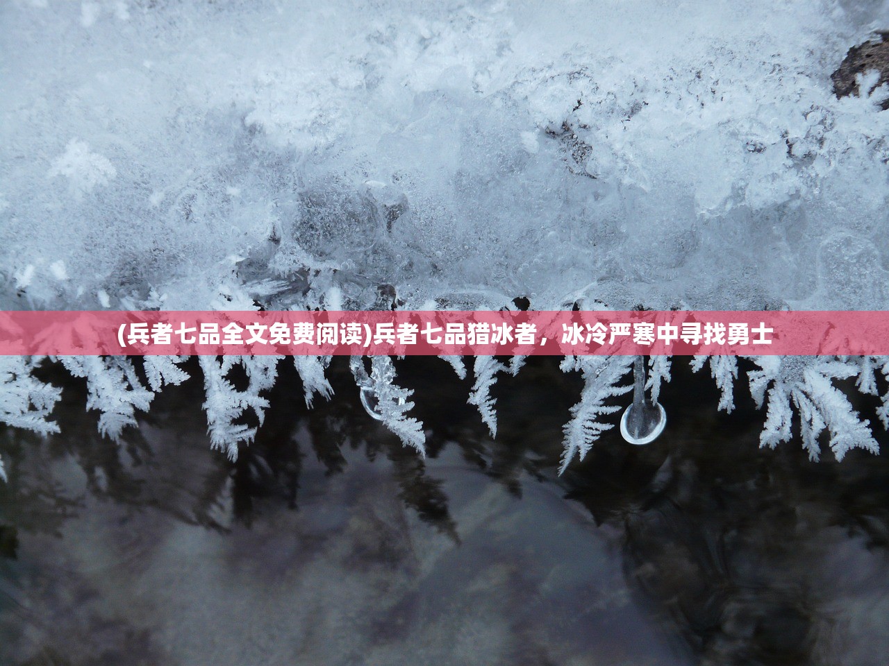 (兵者七品全文免费阅读)兵者七品猎冰者,冰冷严寒中寻找勇士 (兵者七品全文免费阅读)兵者七品猎冰者,冰冷严寒中寻找勇士