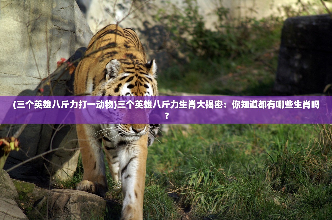 (三个英雄八斤力打一动物)三个英雄八斤力生肖大揭密:你知道都有哪些生肖吗? (三个英雄八斤力打一动物)三个英雄八斤力生肖大揭密:你知道都有哪些生肖吗?