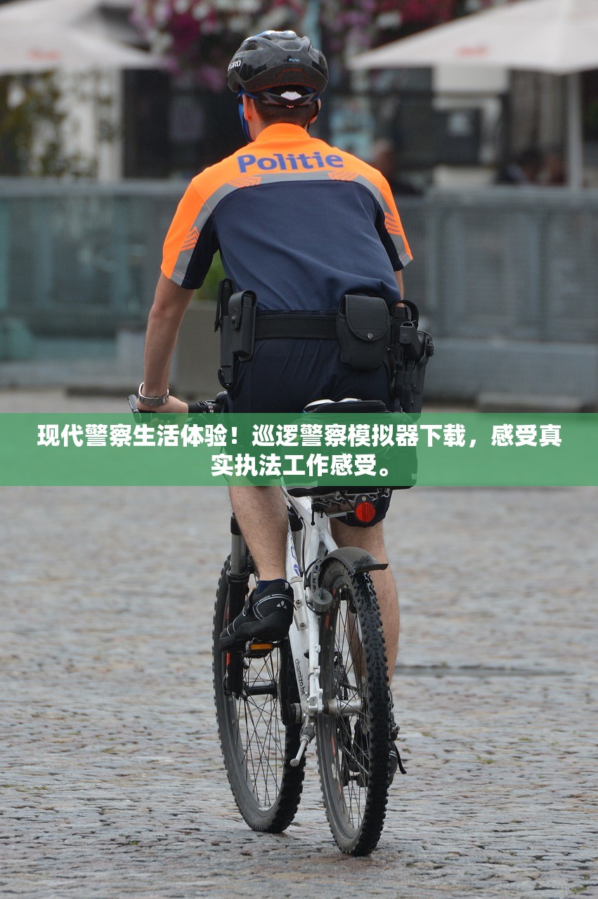 (逆向坍缩面包房行动)揭秘逆向坍塌面包房行动官网的幕后秘密