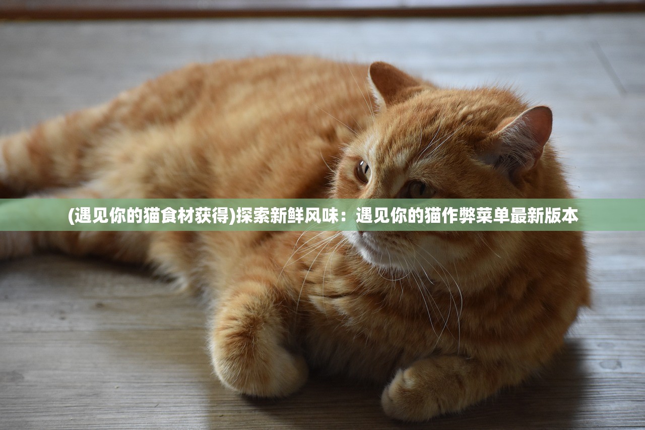 (遇见你的猫食材获得)探索新鲜风味:遇见你的猫作弊菜单最新版本 (遇见你的猫食材获得)探索新鲜风味:遇见你的猫作弊菜单最新版本
