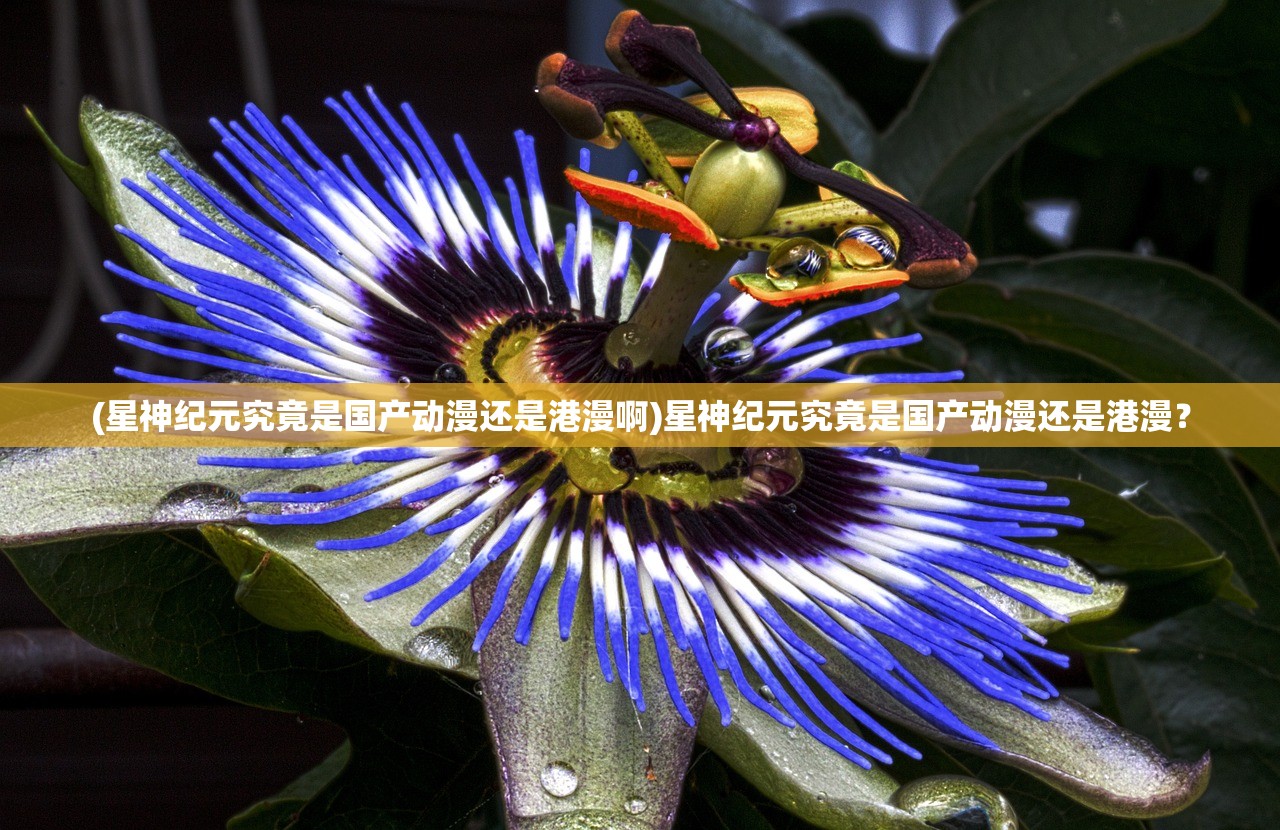 (星神纪元究竟是国产动漫还是港漫啊)星神纪元究竟是国产动漫还是港漫? (星神纪元究竟是国产动漫还是港漫啊)星神纪元究竟是国产动漫还是港漫?