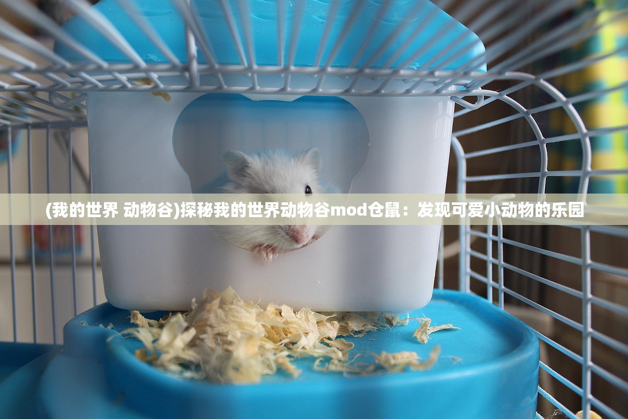 (圣光之战 攻略)圣光之战攻略大全——全方位指南助你成为战场英雄 (圣光之战 攻略)圣光之战攻略大全——全方位指南助你成为战场英雄