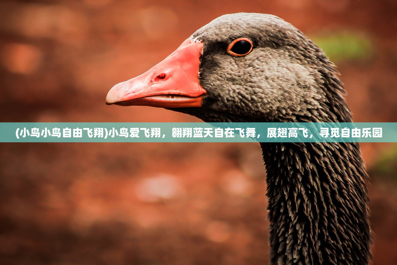 (斗破苍穹三年之约手游破解版)斗破苍穹三年之约手游,深度探索与独特体验 (斗破苍穹三年之约手游破解版)斗破苍穹三年之约手游,深度探索与独特体验
