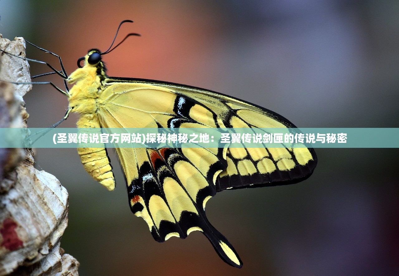 (圣翼传说官方网站)探秘神秘之地：圣翼传说剑匣的传说与秘密