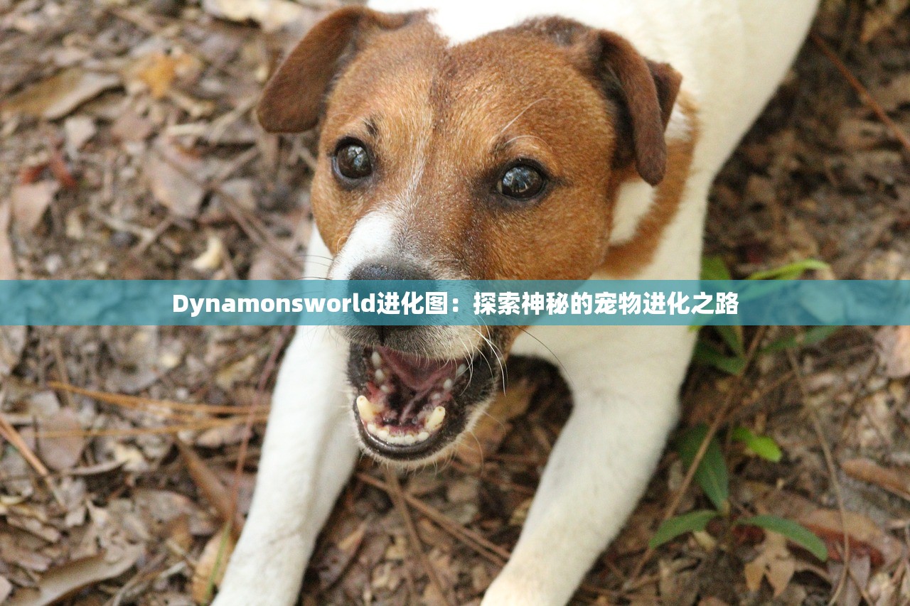 种种侠行天下的相关设定,揭示侠客身世传奇,演绎义薄云天情深。 种种侠行天下的相关设定,揭示侠客身世传奇,演绎义薄云天情深。