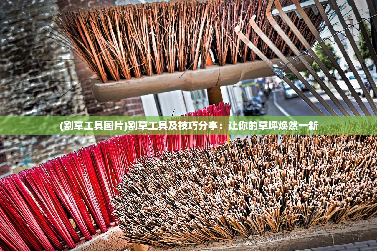 (火线战姬攻略)火线战姬最强阵容搭配攻略 (火线战姬攻略)火线战姬最强阵容搭配攻略