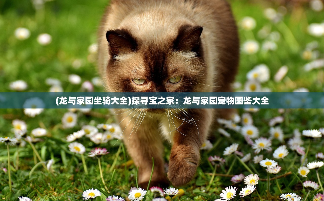 (梦工厂足球俱乐部)梦工厂足球队,激情与实力的碰撞 (梦工厂足球俱乐部)梦工厂足球队,激情与实力的碰撞