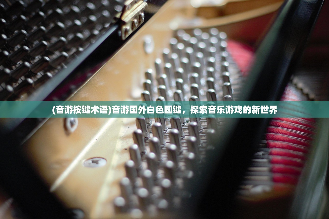 (音游按键术语)音游国外白色圆键,探索音乐游戏的新世界 (音游按键术语)音游国外白色圆键,探索音乐游戏的新世界