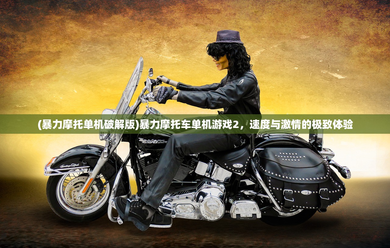 (暴力摩托单机破解版)暴力摩托车单机游戏2,速度与激情的极致体验 (暴力摩托单机破解版)暴力摩托车单机游戏2,速度与激情的极致体验