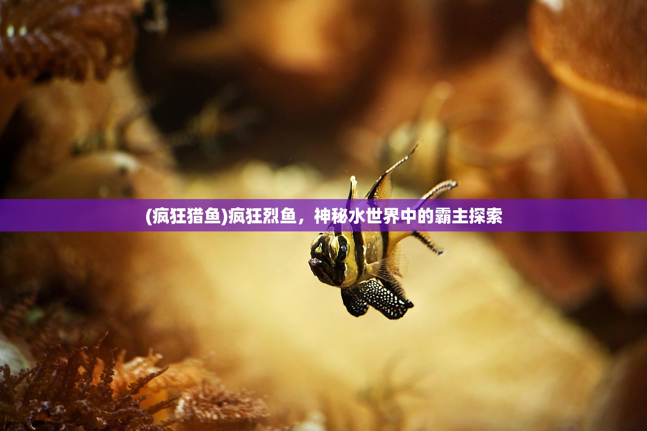 (妖神记手游gm版)妖神记手游bt版,深度解析与玩家指南 (妖神记手游gm版)妖神记手游bt版,深度解析与玩家指南