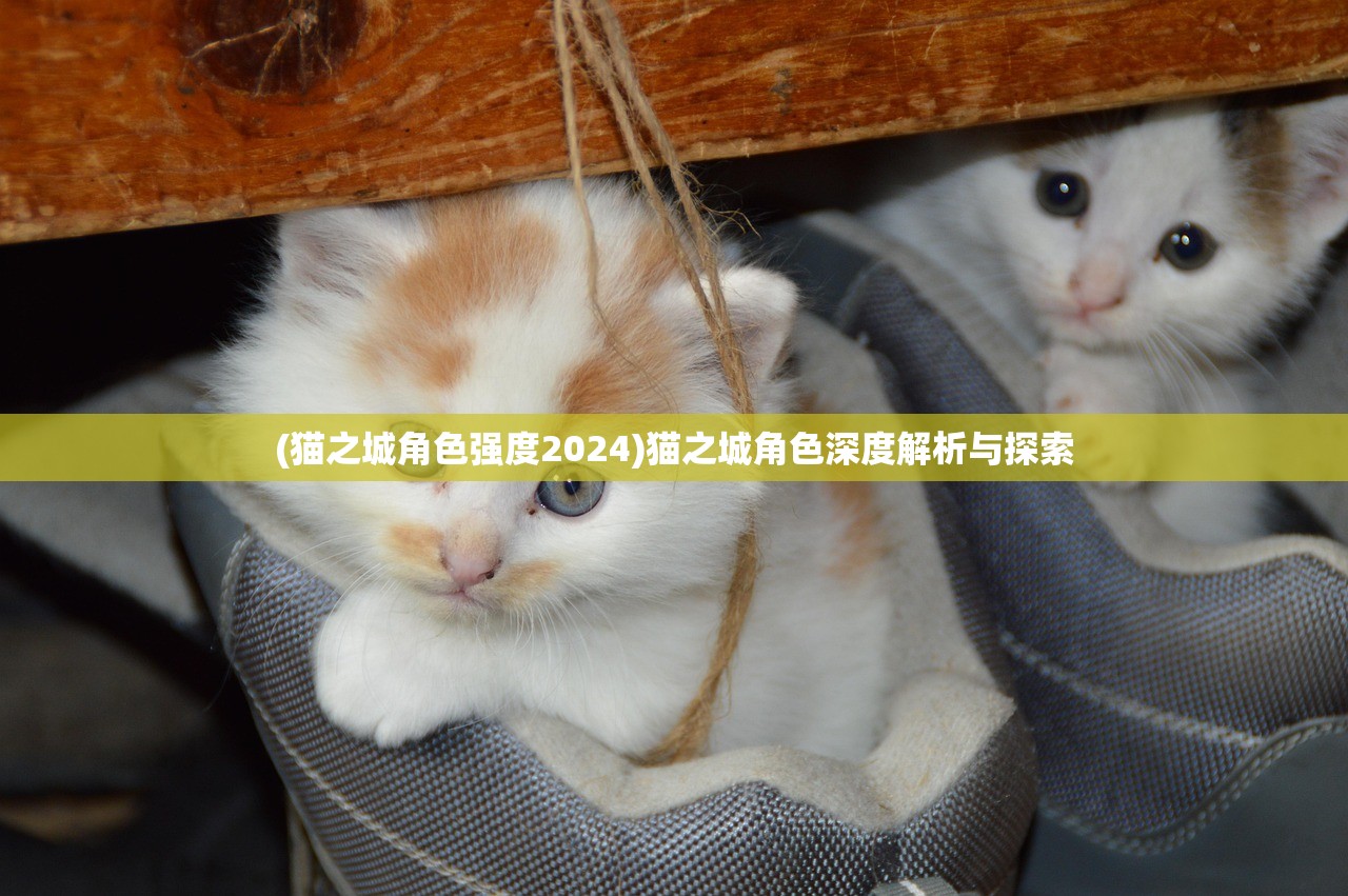 (猫之城角色强度2024)猫之城角色深度解析与探索 (猫之城角色强度2024)猫之城角色深度解析与探索