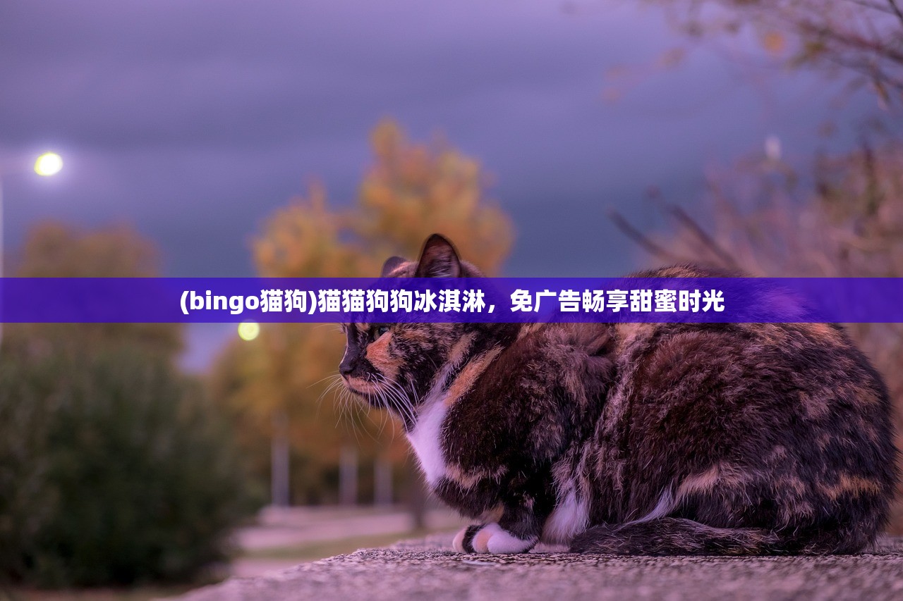(bingo猫狗)猫猫狗狗冰淇淋,免广告畅享甜蜜时光 (bingo猫狗)猫猫狗狗冰淇淋,免广告畅享甜蜜时光
