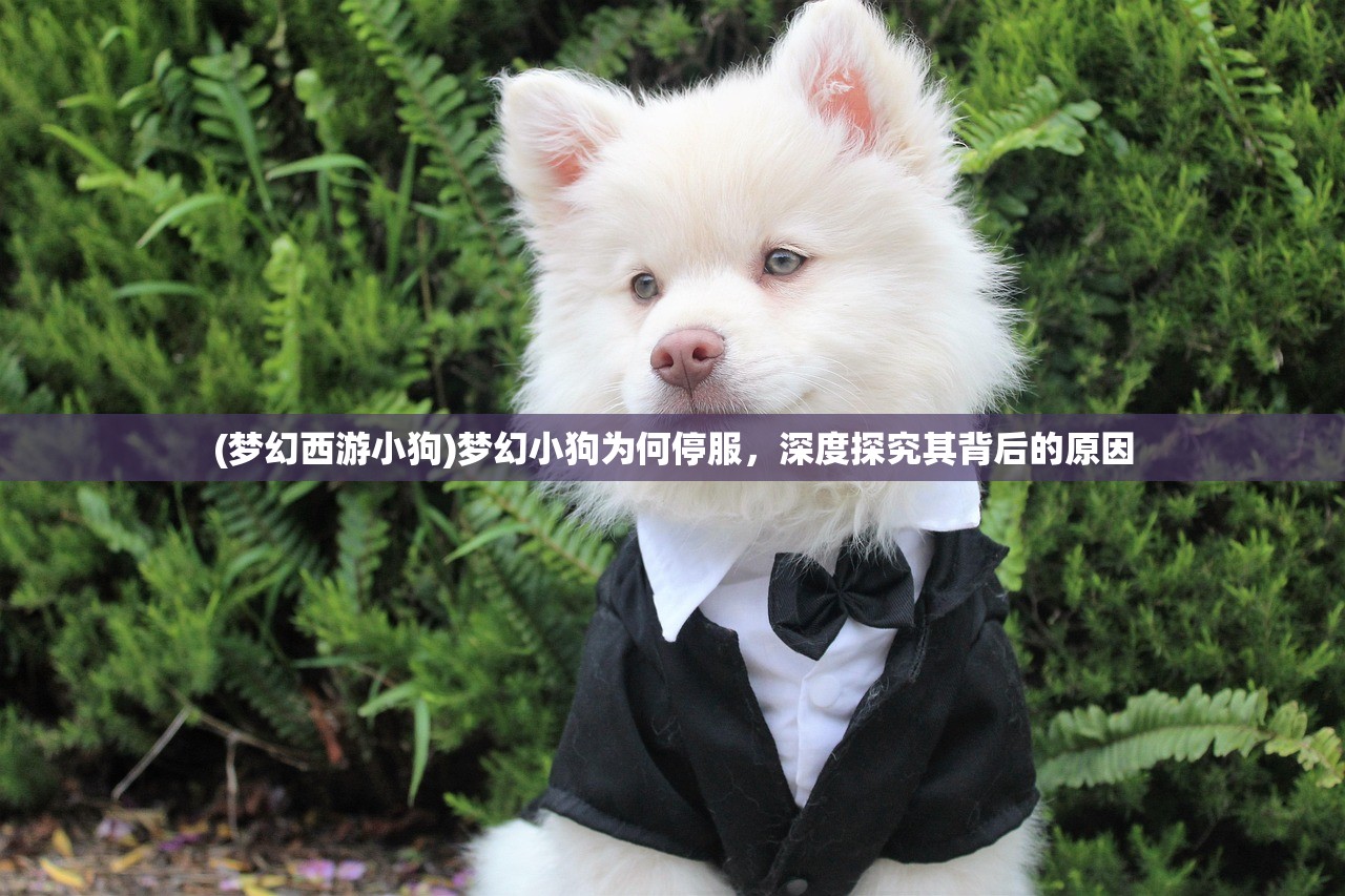 (梦幻西游小狗)梦幻小狗为何停服,深度探究其背后的原因 (梦幻西游小狗)梦幻小狗为何停服,深度探究其背后的原因