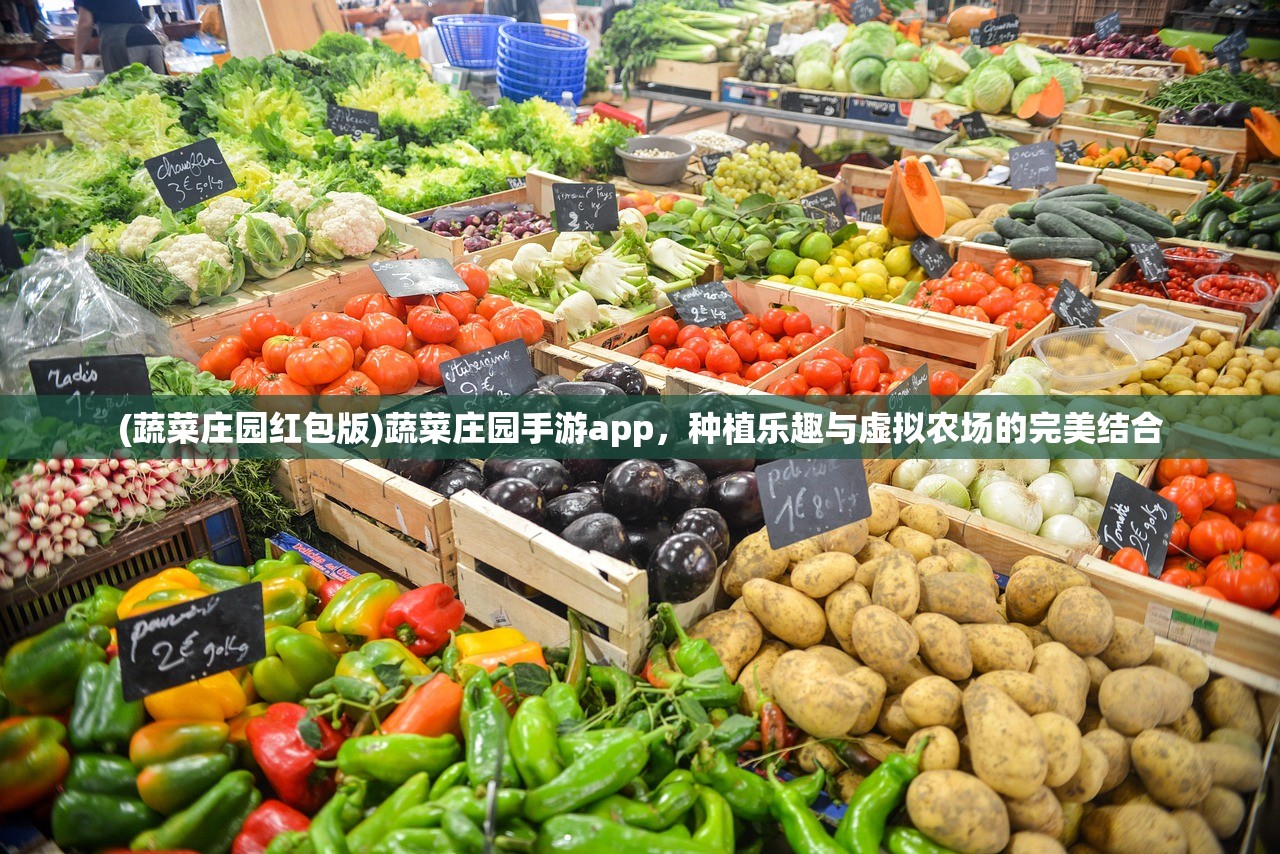 (蔬菜庄园红包版)蔬菜庄园手游app,种植乐趣与虚拟农场的完美结合 (蔬菜庄园红包版)蔬菜庄园手游app,种植乐趣与虚拟农场的完美结合