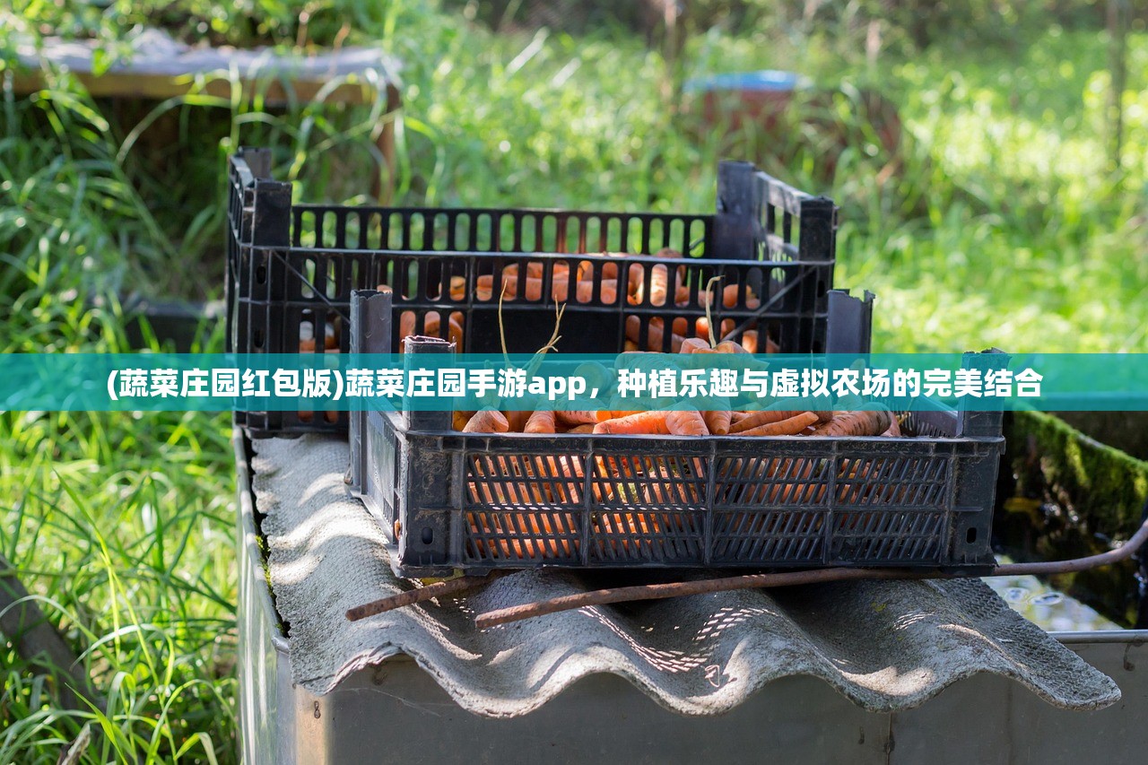 (蔬菜庄园红包版)蔬菜庄园手游app,种植乐趣与虚拟农场的完美结合 (蔬菜庄园红包版)蔬菜庄园手游app,种植乐趣与虚拟农场的完美结合