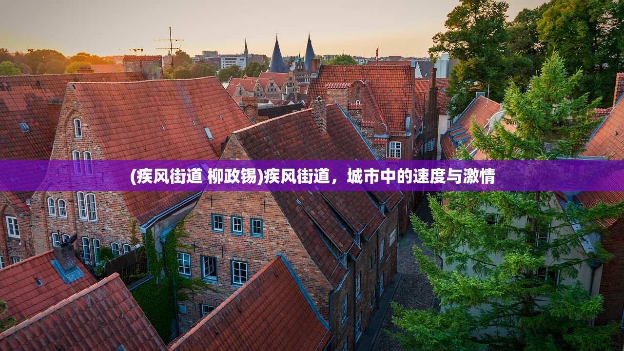 (疾风街道 柳政锡)疾风街道，城市中的速度与激情