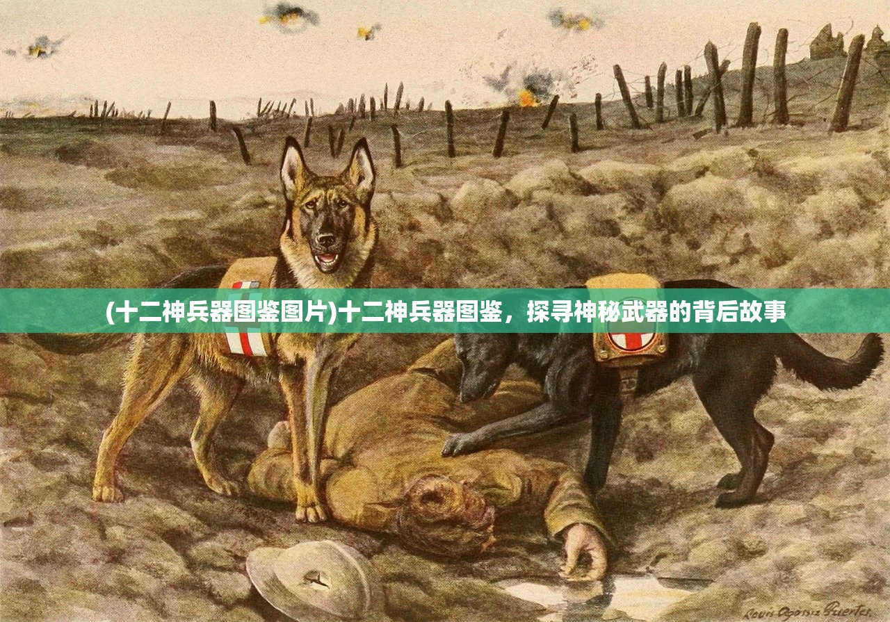 (十二神兵器图鉴图片)十二神兵器图鉴,探寻神秘武器的背后故事 (十二神兵器图鉴图片)十二神兵器图鉴,探寻神秘武器的背后故事