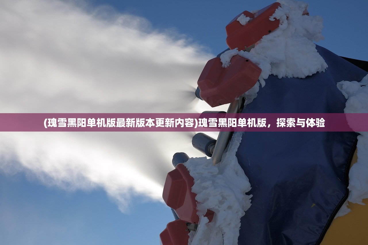 (瑰雪黑阳单机版最新版本更新内容)瑰雪黑阳单机版,探索与体验 (瑰雪黑阳单机版最新版本更新内容)瑰雪黑阳单机版,探索与体验