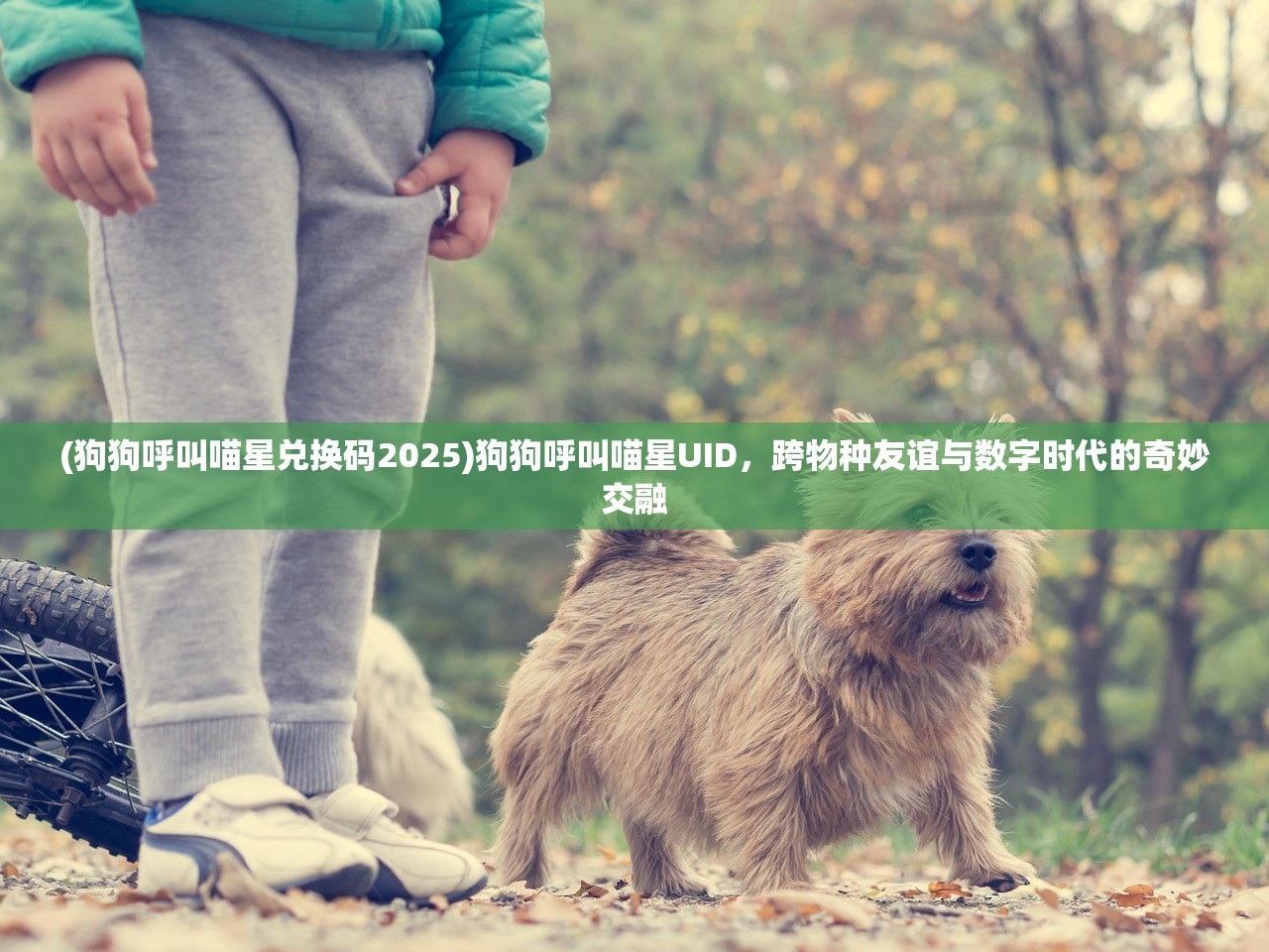 (狗狗呼叫喵星兑换码2025)狗狗呼叫喵星UID,跨物种友谊与数字时代的奇妙交融 (狗狗呼叫喵星兑换码2025)狗狗呼叫喵星UID,跨物种友谊与数字时代的奇妙交融