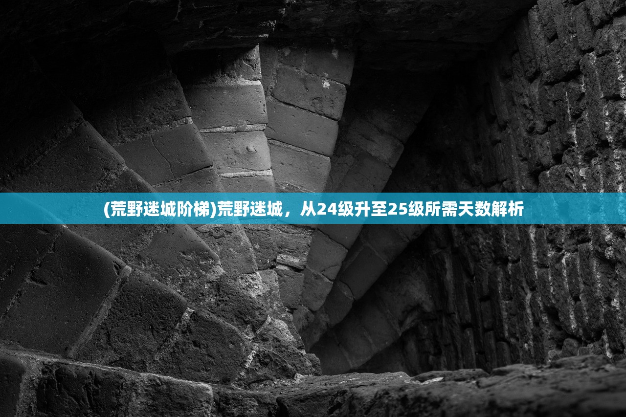 (荒野迷城阶梯)荒野迷城,从24级升至25级所需天数解析 (荒野迷城阶梯)荒野迷城,从24级升至25级所需天数解析