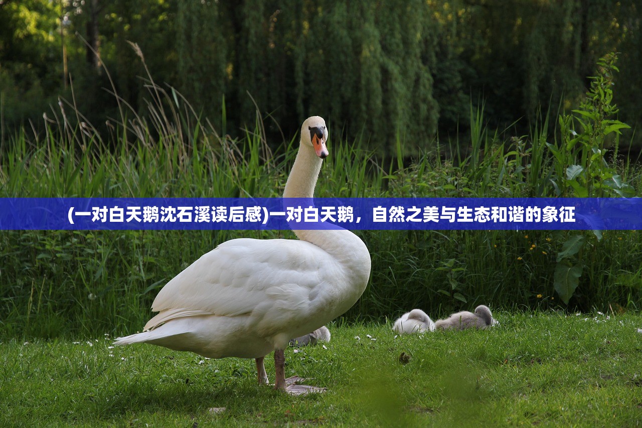 (斗魂龙骑官网)斗魂龙骑手游,深度探索与常见问题解答 (斗魂龙骑官网)斗魂龙骑手游,深度探索与常见问题解答