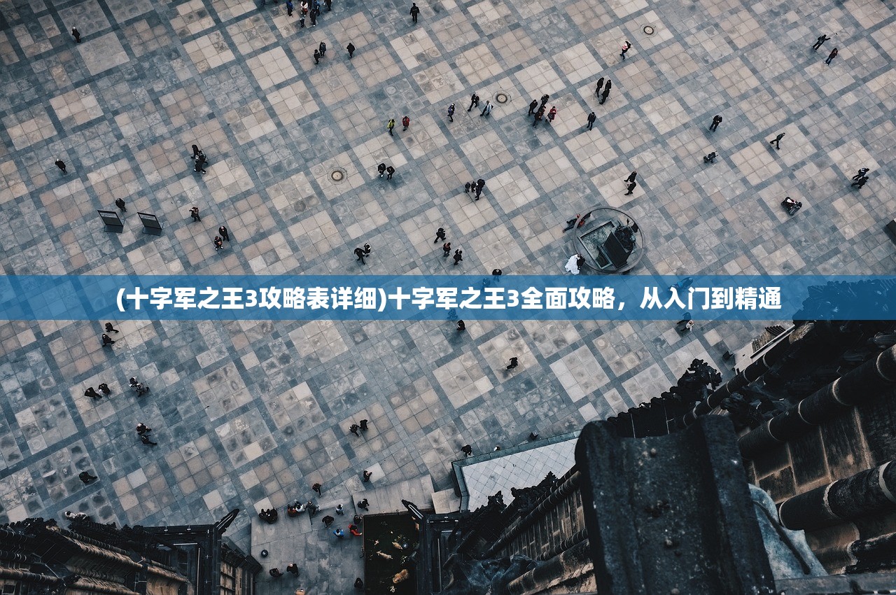 (十字军之王3攻略表详细)十字军之王3全面攻略,从入门到精通 (十字军之王3攻略表详细)十字军之王3全面攻略,从入门到精通