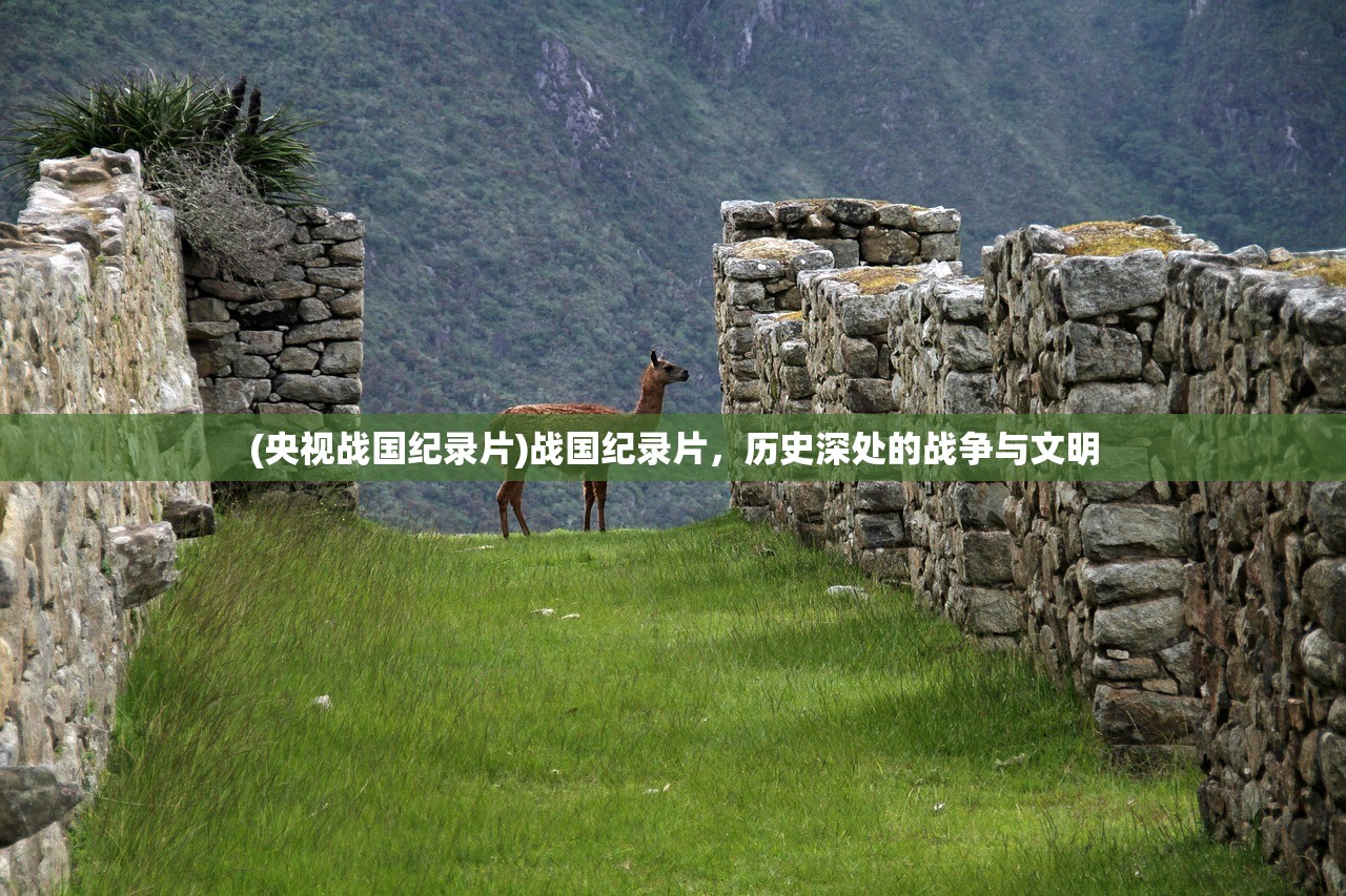 (央视战国纪录片)战国纪录片,历史深处的战争与文明 (央视战国纪录片)战国纪录片,历史深处的战争与文明