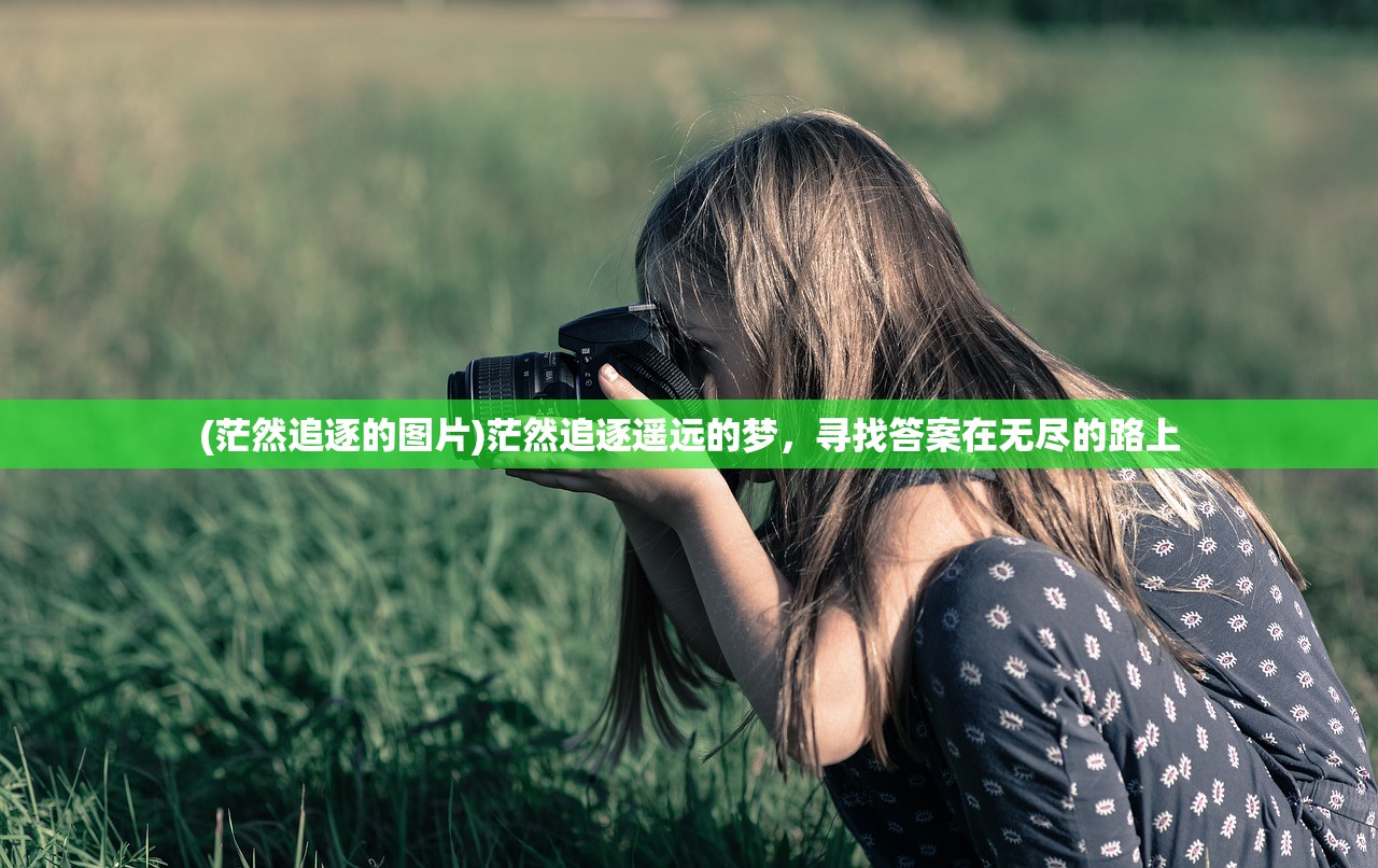 (伊洛特破解)伊洛特攻略，全方位指南助你轻松掌握游戏精髓