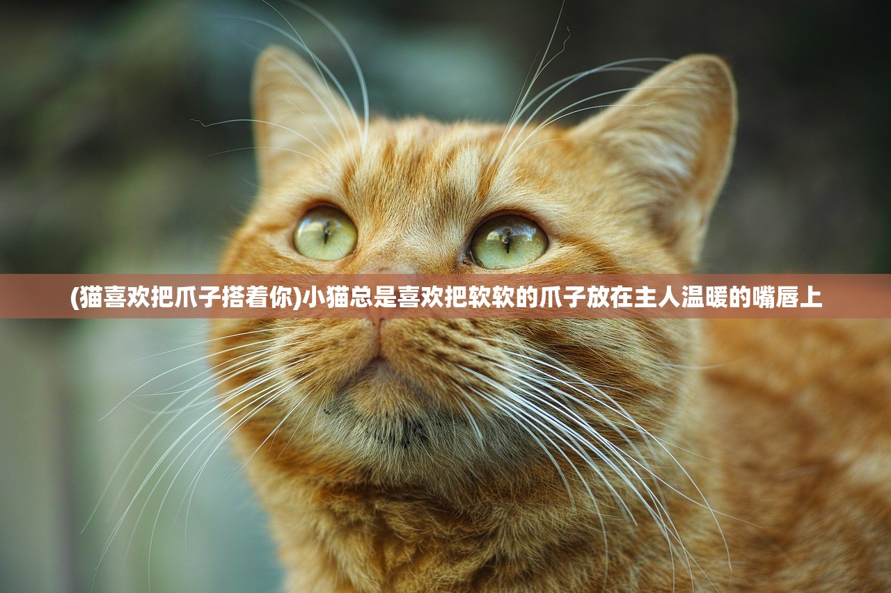 (洛克王国漂浮宫殿在哪)探秘洛克王国轻功水上漂背后的激活方法详解