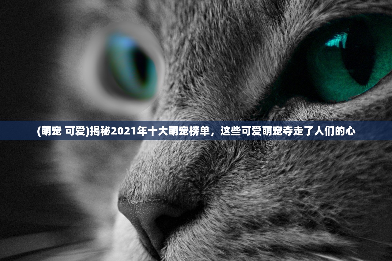 (张艺谋的狙击手免费版在线播放)张艺谋的狙击手免费版，深度解析与探讨