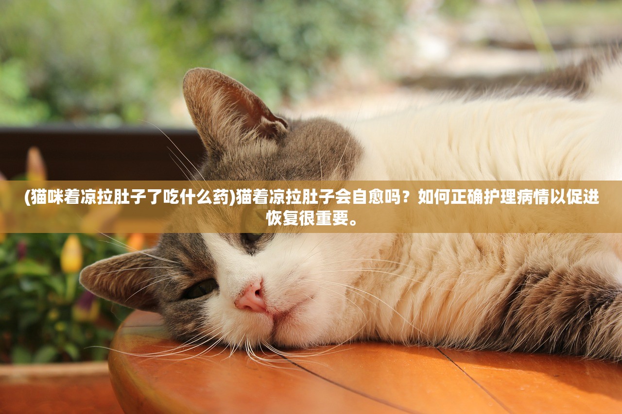 (233乐园游戏助手)关于233乐园游戏，深度探索与常见问题解答