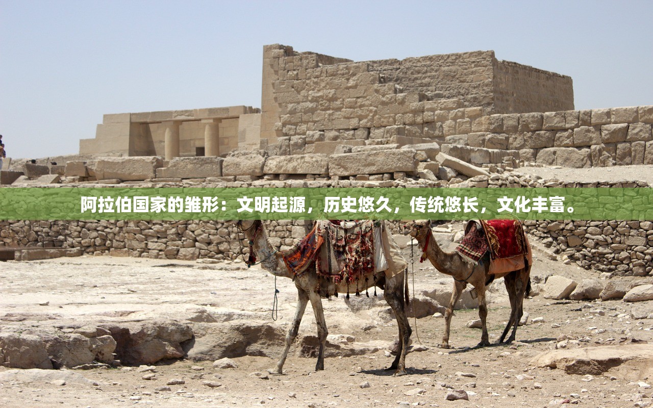 二四六天天彩免费资料大全最新|定性分析解释落实_显示款.3.209 二四六天天彩免费资料大全最新|定性分析解释落实_显示款.3.209