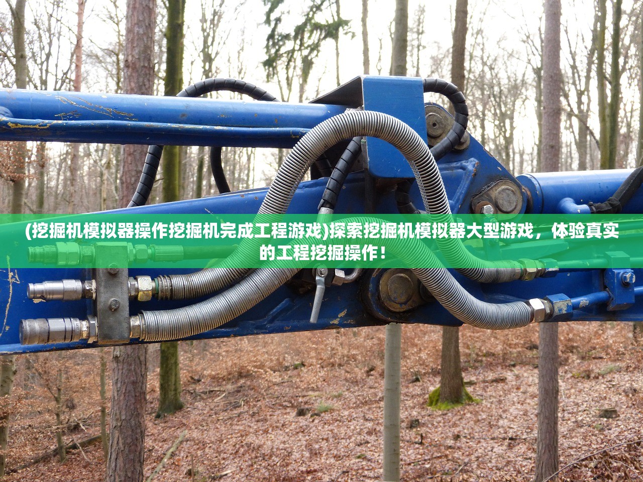 (神之王座转换器怎么用的)神之王座转换器使用指南及常见问题解答
