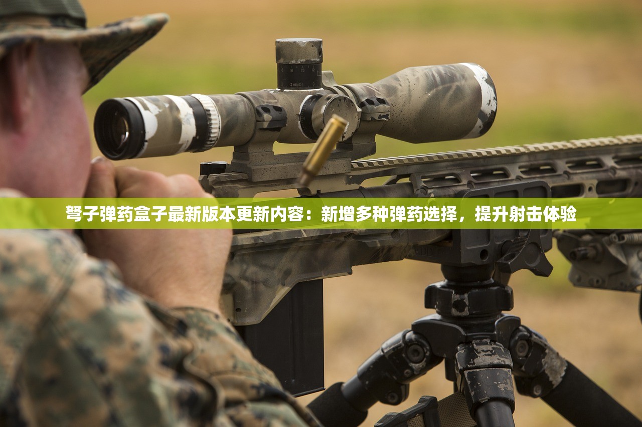 (联盟崛起三国怎么玩)联盟崛起三国，群雄争霸的时代背景与策略分析