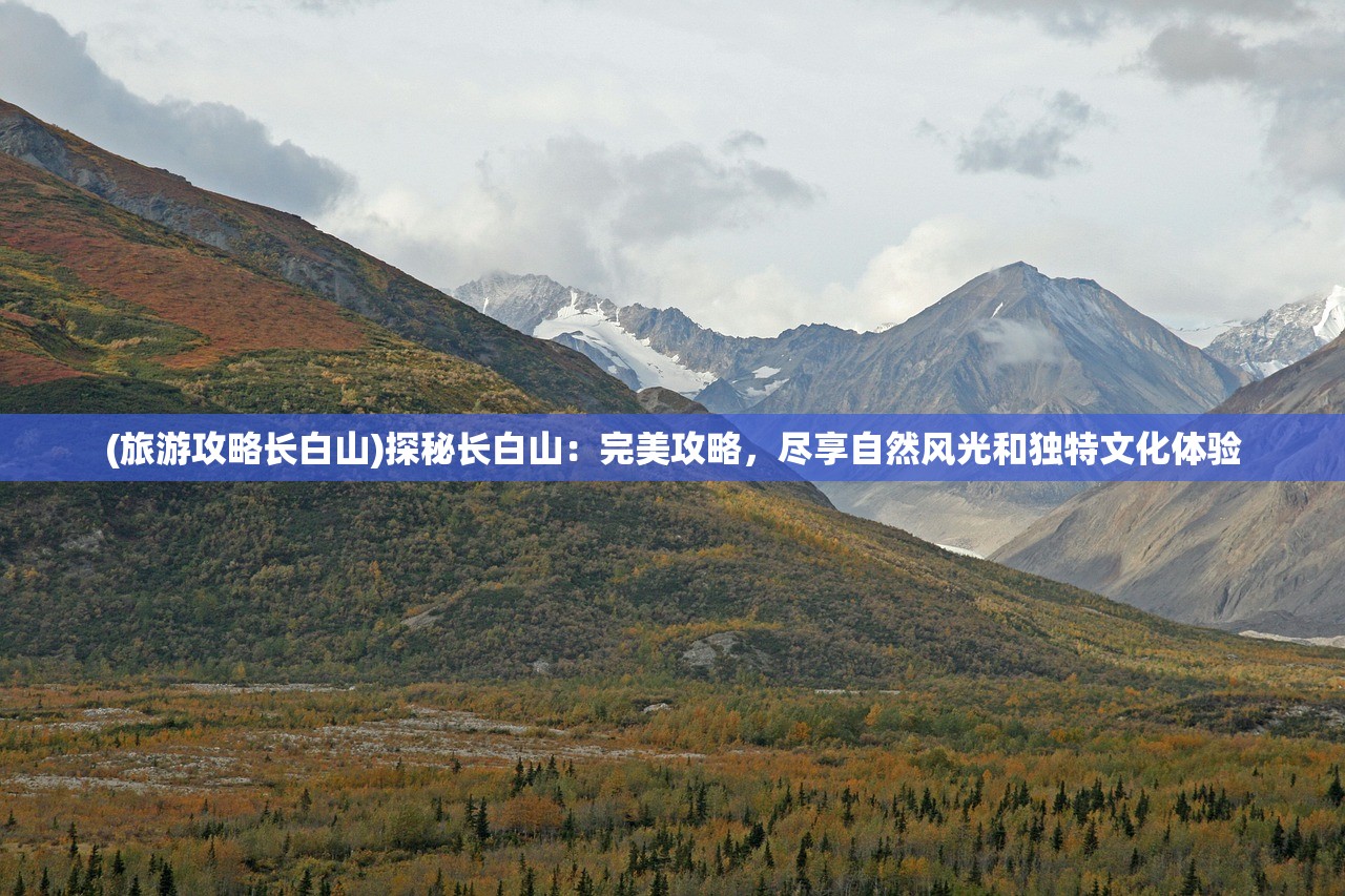 (放置冒险王:挑战之路,如何获得勇者王的宝座碎片)放置冒险王：挑战之路，如何获得勇者王的宝座