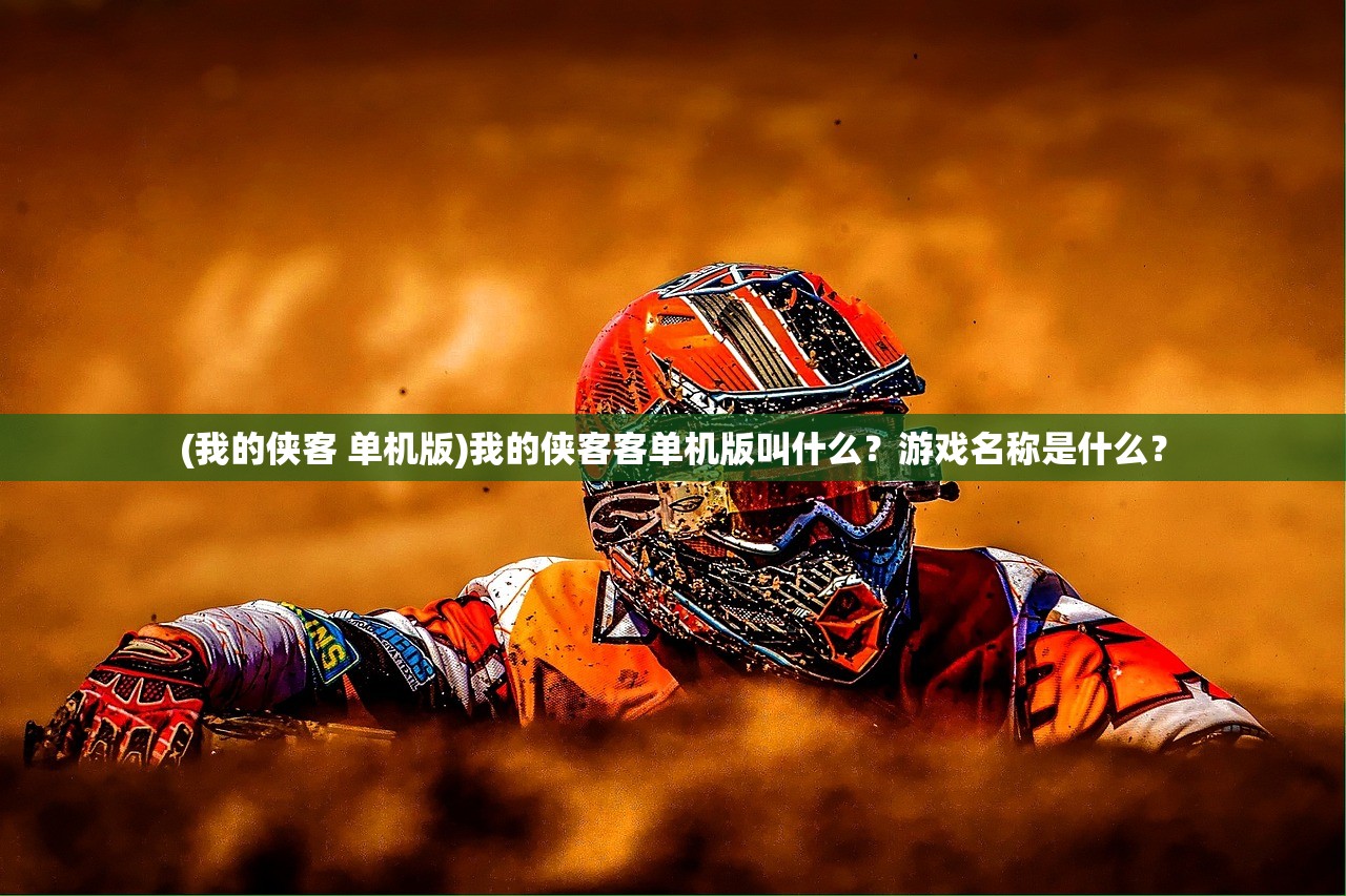 (我的侠客 单机版)我的侠客客单机版叫什么？游戏名称是什么？