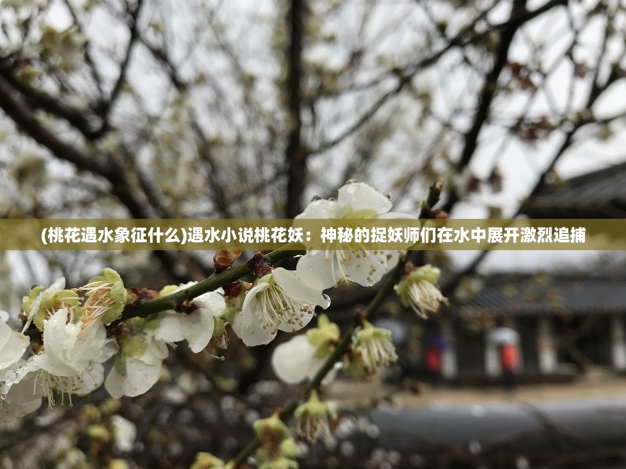 (漫天花雨套装效果实测)漫天花剑雨游戏,一场视觉与策略的双重盛宴 (漫天花雨套装效果实测)漫天花剑雨游戏,一场视觉与策略的双重盛宴