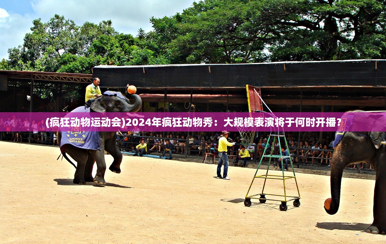 (萌神战姬平民搭配)揭秘萌神战姬背后的换皮真相，深度解析与探讨