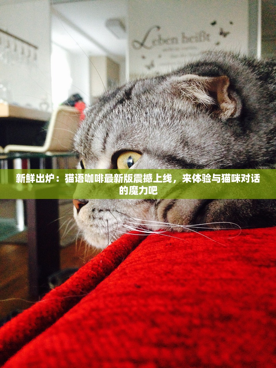 (长生之旅)长生之路：从捡取武道碎片起步，成就无上大道