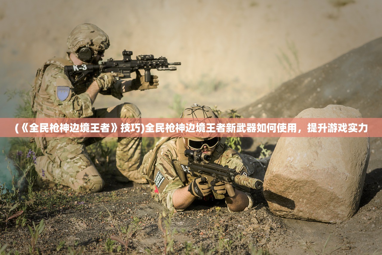 (西普大陆精灵图鉴大全电脑版)西普大陆精灵图鉴大全，深度解析与常见问题解答