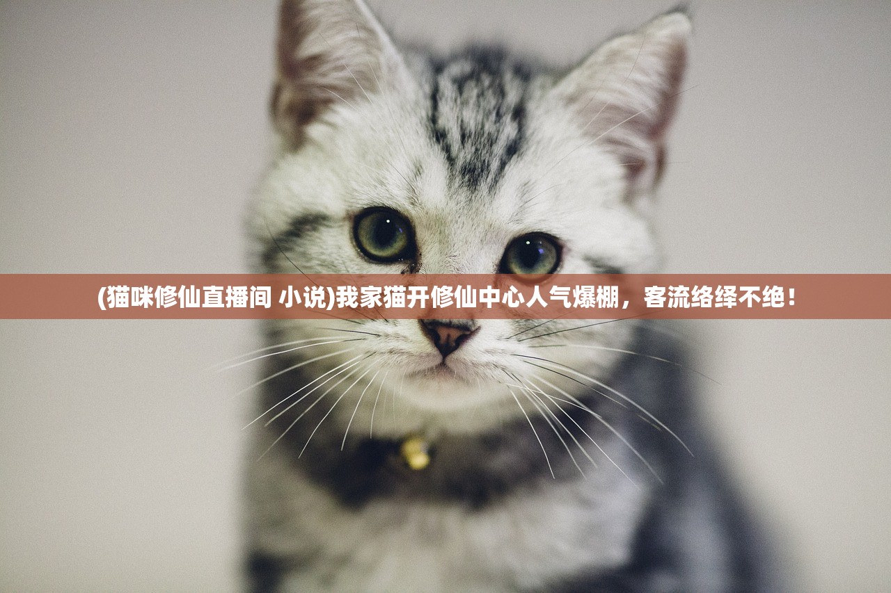 (三国跑酷游戏叫什么)三国跑酷游戏，历史与创新的完美结合