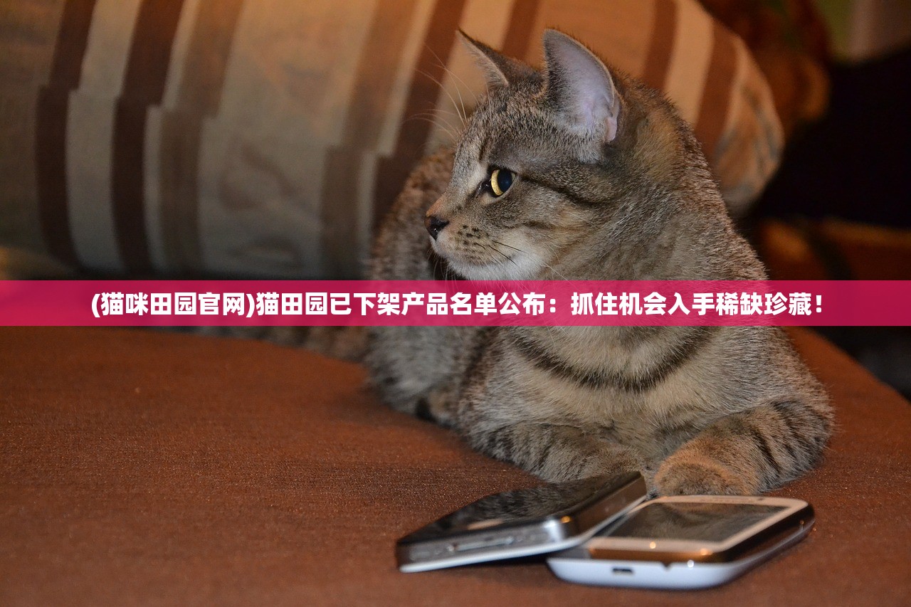 (梦三国sb云)三国云梦录最新攻略，绝密技巧大揭秘！
