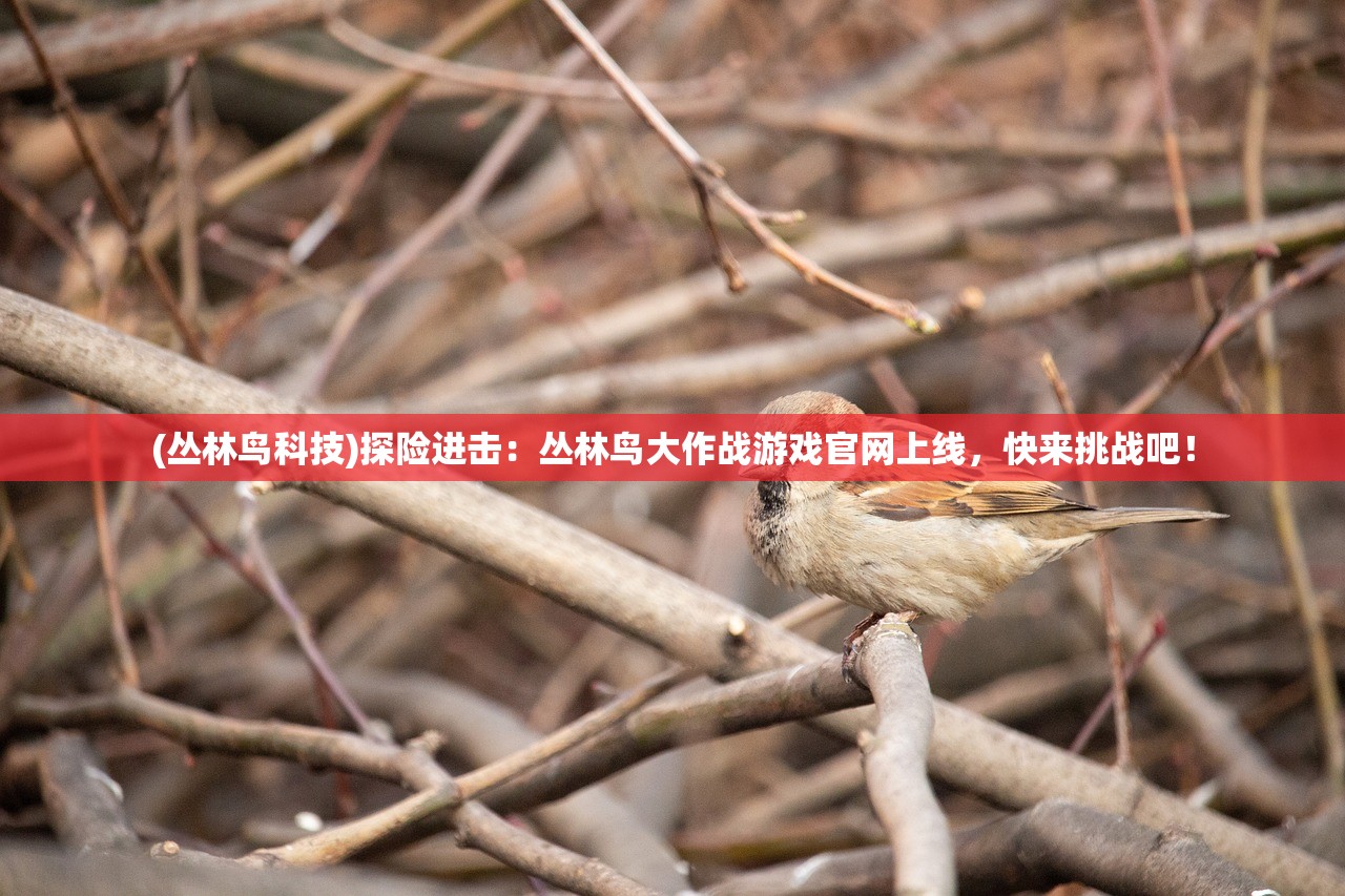 (氪金兽官网)氪金兽账号交易平台：专业提供游戏账号的买卖交易服务
