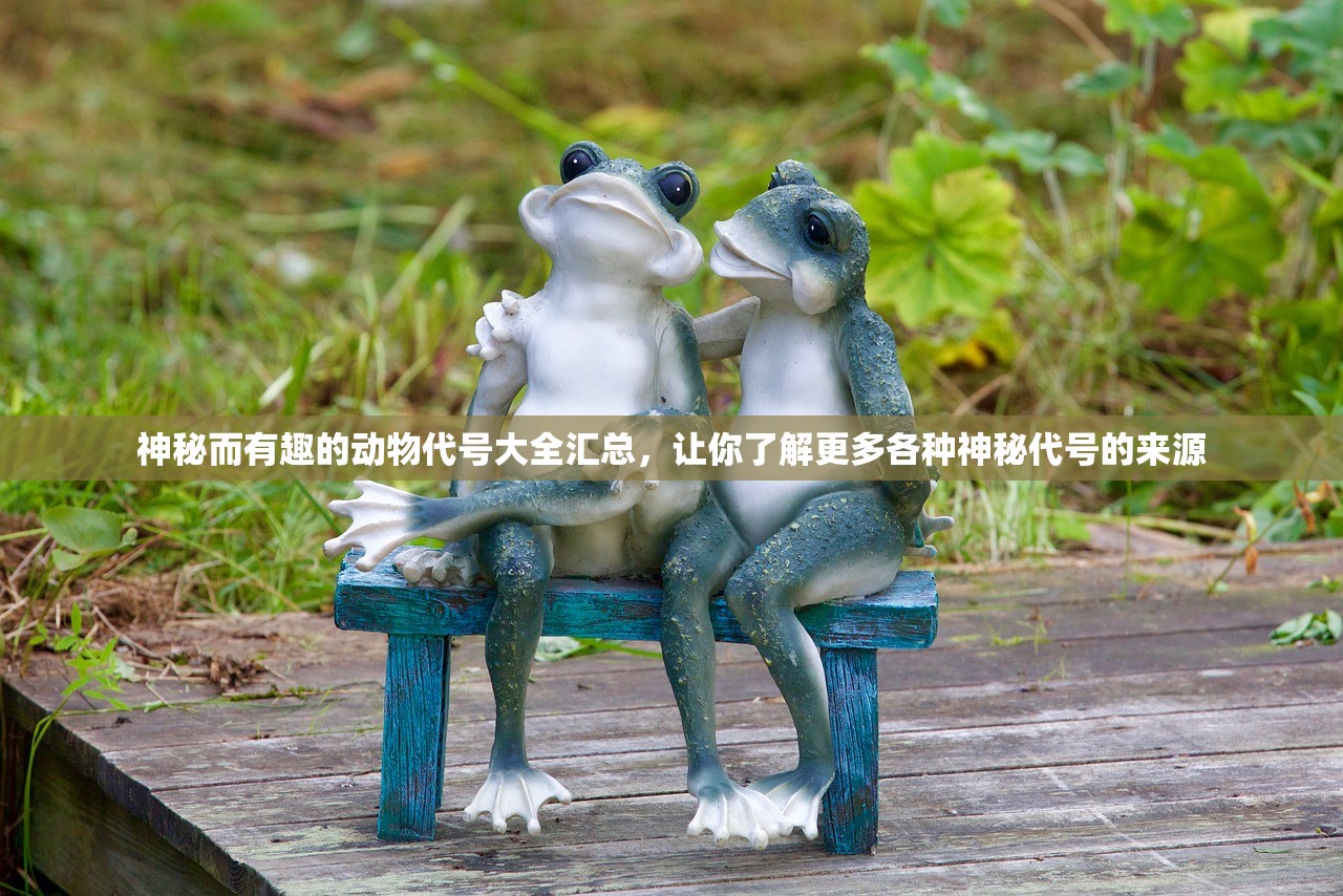 2024新奥历史开奖记录19期|保障成语理解的准确性_终点版.4.578 2024新奥历史开奖记录19期|保障成语理解的准确性_终点版.4.578